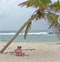 Sandy Island, einsame Insel mit einer Palme
