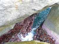 In "The Bath" Virgin Gorda, BVI