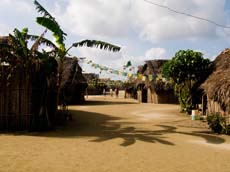 Die Wege sind blitzblank gefegt